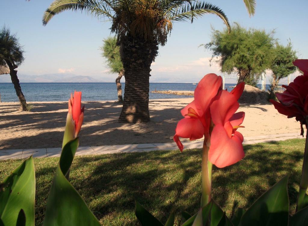 Three Stars Beach Hotel Мораитика Экстерьер фото